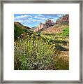 Zion Wildflowers Framed Print