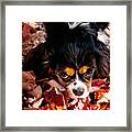 Zoey - Look Into My Eyes Framed Print
