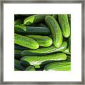 Zucchini Squash Framed Print