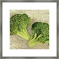 0740-broccoletti Framed Print