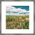 Aerial View Green Coniferous Forest #1 Framed Print