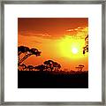 African Sunset #1 Framed Print