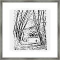 Aspen Trees And Fisherman #1 Framed Print