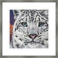 Beast And Beauty Framed Print