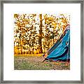Beautiful Sunbeams Through The Forest #1 Framed Print