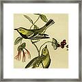 Black Throated Green Wood Warbler #1 Framed Print