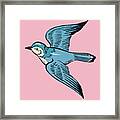 Blue Bird #1 Framed Print
