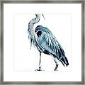 Blue Blue Heron Ii #1 Framed Print