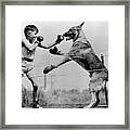 Boxing With Dog #1 Framed Print