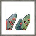 Burnet Moth Wings Framed Print