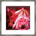 Celebration - #2 Framed Print