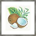 Coconut Palm Ii #1 Framed Print
