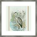Common Heron #1 Framed Print