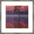Composited Image Of Tree And Reflection #1 Framed Print