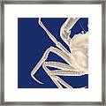 Contrasting Crab In Navy Blue A #1 Framed Print