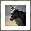 Contrasts #1 Framed Print