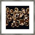 Cultures Growing On Petri Dishes #1 Framed Print