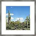 Desert Landscape #1 Framed Print