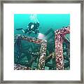 Diver Exploring An Artificial Reef Structure At Raja Yai  / Phuket #1 Framed Print