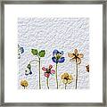 Dried Flowers #1 Framed Print