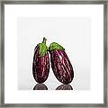 Eggplant #1 Framed Print
