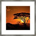 End Of A Safari-day In The Serengeti #1 Framed Print