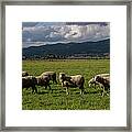 Exploring Sonoma Countys Wine Country #1 Framed Print