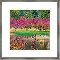 Fall Colors In Central Cascade #1 Framed Print