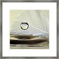 Feathers Drop #1 Framed Print