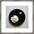 Gardenia #1 Framed Print