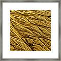 Golden Traces In The Sand #1 Framed Print
