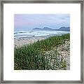 Grass On Beach At Dawn #1 Framed Print