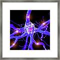 Illustration Of An Active Nerve Cell #1 Framed Print
