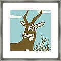 Impala #1 Framed Print