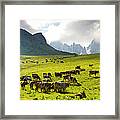 Italy, Primiero, Siror, Rolle Pass #1 Framed Print