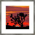 Joshua Tree At Sunset Framed Print