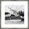 Leaping Dolphins #1 Framed Print