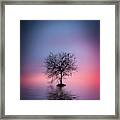 Lone Tree #1 Framed Print