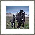 Mare And Foal #1 Framed Print