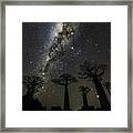 Milky Way Over Baobab Trees #1 Framed Print