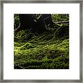 Moss Carpet #1 Framed Print