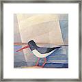 Oystercatcher Painting #2 Framed Print