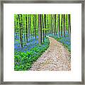Path Through Bluebells Forest #1 Framed Print