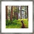 Pathway #1 Framed Print