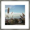 Pebble Beach Framed Print