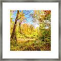 Pennsylvania Stream In Autumn #1 Framed Print