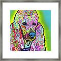 Poodle #1 Framed Print