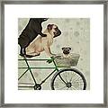 Pugs On Bicycle #1 Framed Print