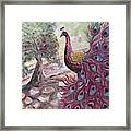 Purple Peacock #1 Framed Print