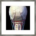 Rear View Of The Human Skull With Veins #1 Framed Print